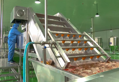 农产品加工项目可行性研究报告大纲