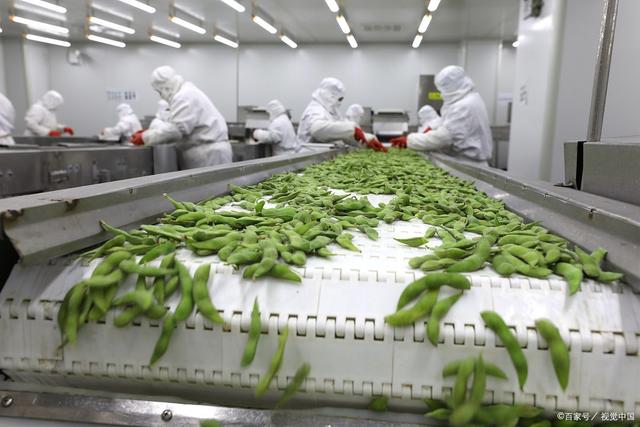 脱水蔬菜加工项目可行性研究 立足农产品加工，开拓市场新蓝海