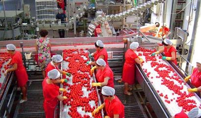 农产品批发从“糙售”迈向“精卖” 加工升级促增收，政策补贴惠农民