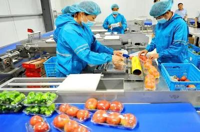 万亿级赛道 中国农产品加工业变革在即
