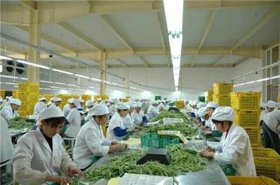 农产品加工 3大政策扶持，6大项目隐藏千万商机