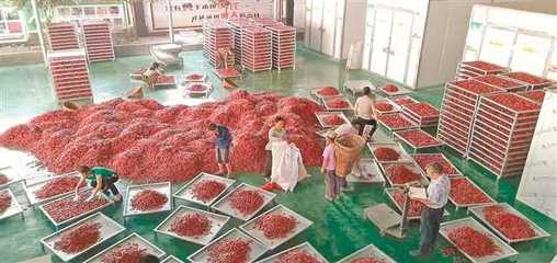 重庆农产品加工 从资源优势到产业优势的持续发力路径