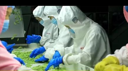 乡村振兴新机遇 推荐几个高潜力的农产品加工办厂项目