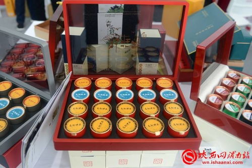 渭水之畔绘新篇 第七届黄河金三角投资合作交流大会暨渭南农产品加工产业博览会开幕