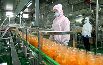 湖南洞口 农产品深加工促增收，激活乡村振兴新引擎