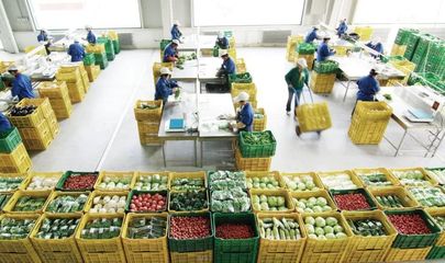 今天，这场农业盛会在昌平开幕！