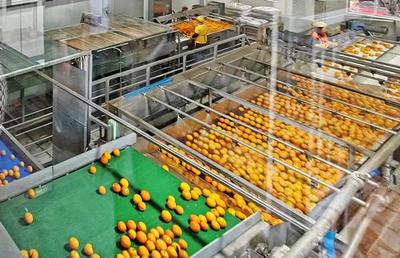 重庆 金融业多措并举 助力食品及农产品加工产业高质量发展