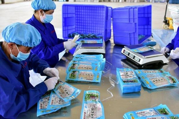 小型农产品深加工加盟项目-农副产品加工项目做什么好一些-