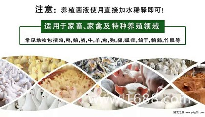 农富康EM菌液的价格分析与工艺品应用