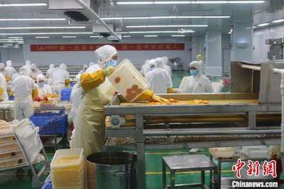 广西百色特色农产品销全国链东盟 老区民众“钱途”广