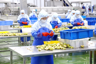 寿光 构建预制菜全产业链，推动农产品加工高质量发展