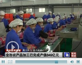 元至9月荆州市农产品加工业完成产值849亿元，产业升级助力农业强市建设