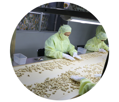 淘奇泡儿 为一块姜，他走遍2.78万平方公里土地的农产品加工新时尚