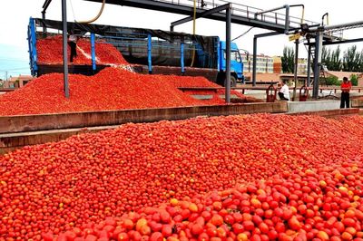 农产品加工前景广阔，如何申请补贴？