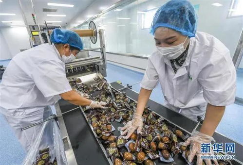 农产品加工业的“三个苹果”模式探析